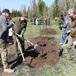 Виталий Хоценко принял участие в акции «Сад памяти» в омском Парке Победы
