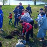 В городе Карабаш прошла посадка дубовой аллеи на живописной набережной местного пруда
