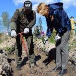 Партийцы Свердловской области приняли участие в международной акции «Сад памяти»