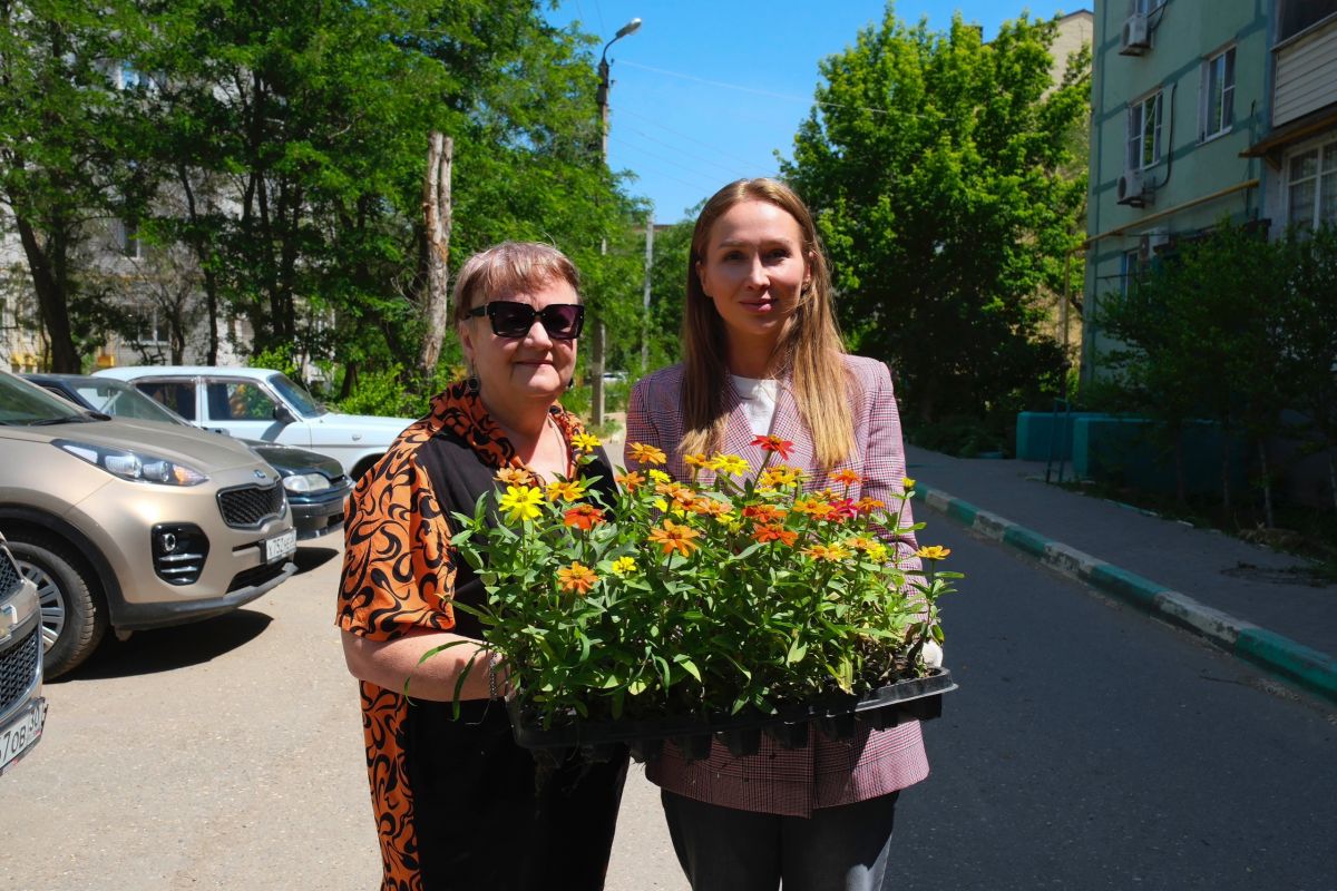 Акция «Зеленый апрель» помогла украсить дворы астраханцев цветами