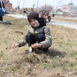 «Единая Россия» высадила на Дальнем Востоке «Сады Памяти»