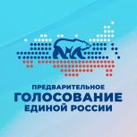 «Единая Россия» дала старт электронному предварительному голосованию-2025