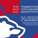 Партия подвела итоги предварительного голосования в Рыбинске
