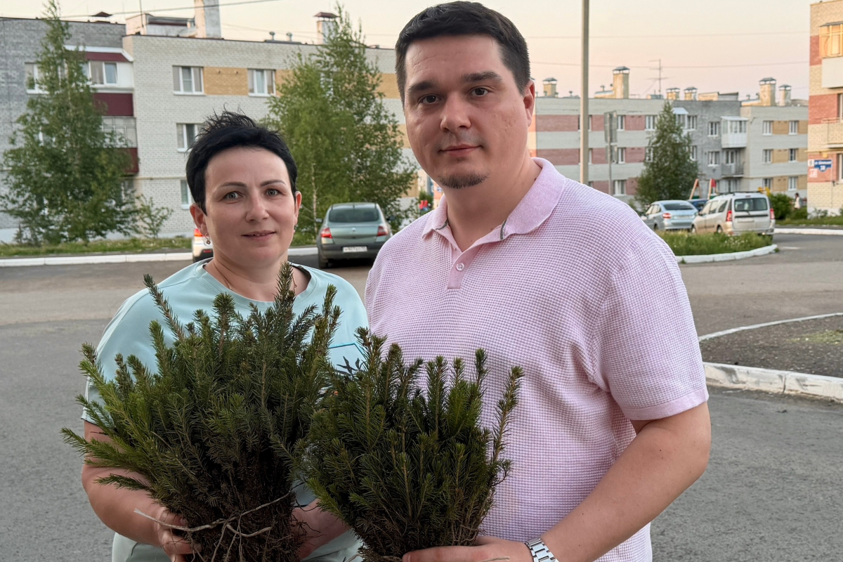 В микрорайоне «Восточный» появилось более 100 елей