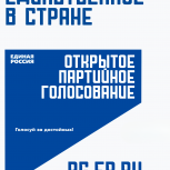 В Чеченской Республике динамично проходит электронное предварительное голосование: жители проявили высокую активность в праздничный день Ид аль-Адха
