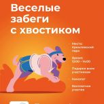Веселые забеги с хвостиком пройдут в Великом Новгороде