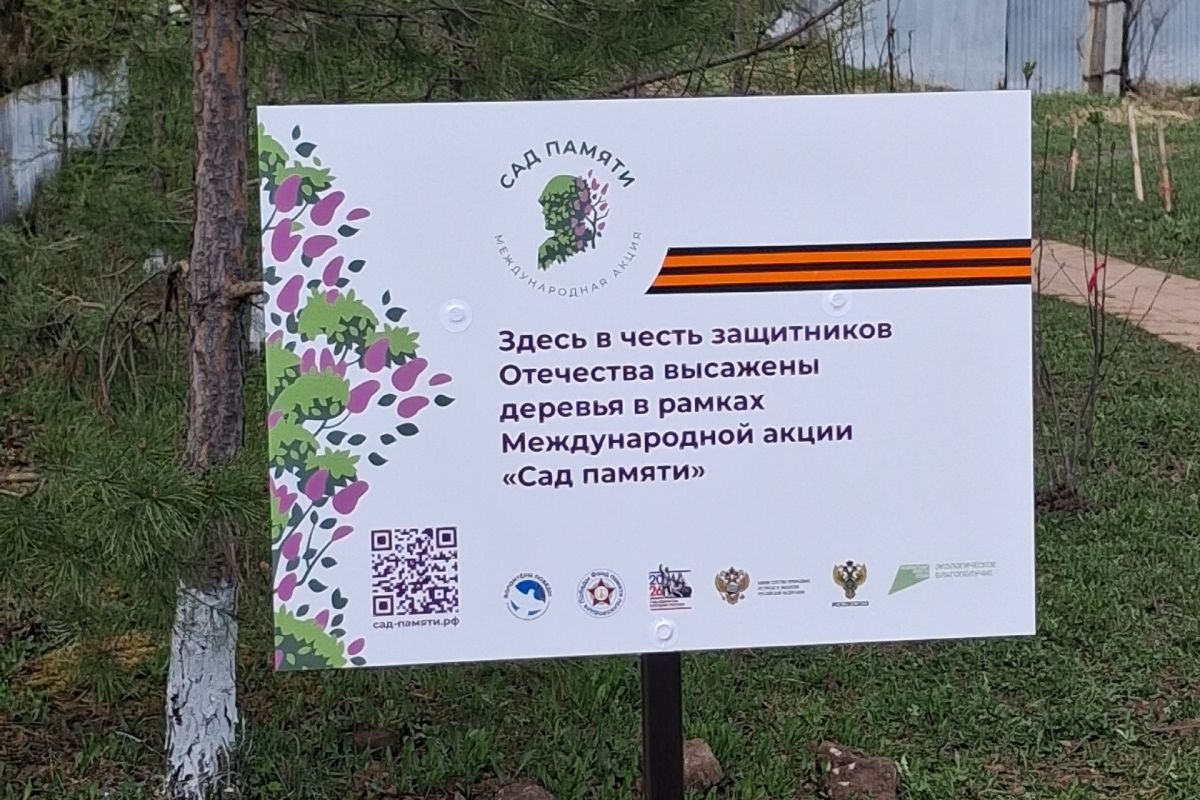 «Единая Россия» сохраняет память о подвиге: в Прикамье продолжается акция «Сад памяти»