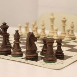 «Единая Россия» и клуб Сергея Карякина проведут шахматный турнир «ХОД ПОБЕДЫ» в Мордовии