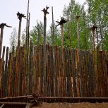 «Единая Россия»: Новая туристическая тропа формируется в «Священной кедровой роще»