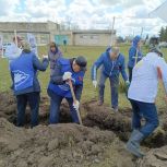В Рыбно-Слободском районе озеленили общественное пространство у деревни Шомырбаш