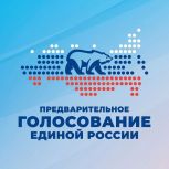 На Чукотке проходит предварительное голосование