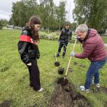В парке «Зарусье» заложена новая традиция
