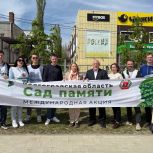 Активисты партпроекта «Чистая страна» и Экосовета высадили рябиновую аллею у «Рубежа Сталинградской доблести»