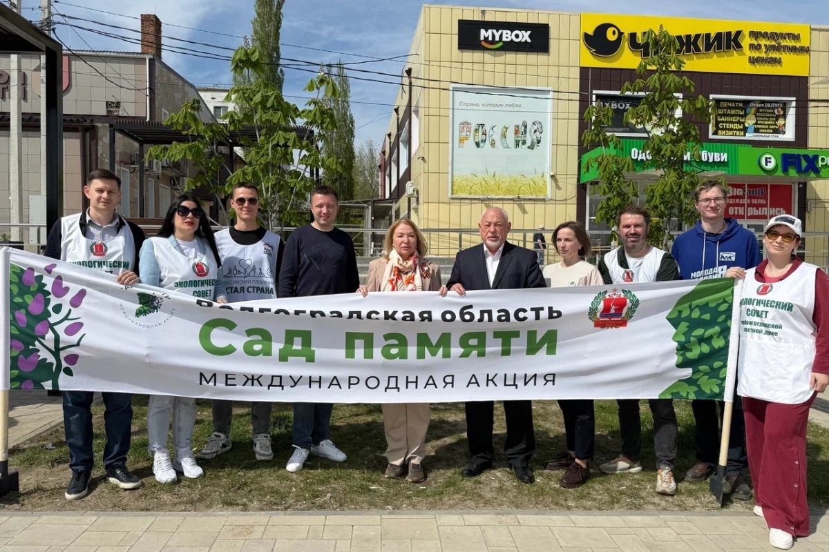 Активисты партпроекта «Чистая страна» и Экосовета высадили рябиновую аллею у «Рубежа Сталинградской доблести»