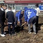 Активисты «Единой России» высадили памятные аллеи в честь героев Великой Отечественной войны
