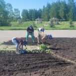 Слушаем каждого: «Единая Россия» продолжает решать проблемы жителей в рамках проекта «Малые дела»