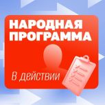 Жители Чеченской Республики активно участвуют в сборе предложений Народной программы: уже поступило порядка 22 тысяч инициатив