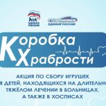 Вместе сделаем детей храбрее: «Единая Россия» вновь проведет масштабную акцию помощи ребятам, проходящим лечение