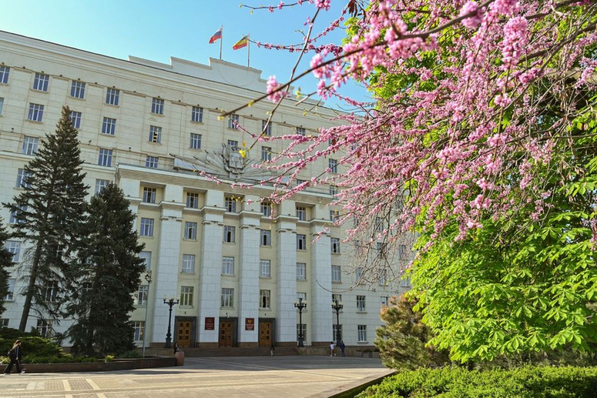 При поддержке «Единой России» на Дону расширили возможности многодетных семей в получении единого пособия на детей