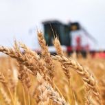 Скоро стартует второй Всероссийский аграрный диктант