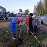 «Единая Россия» высадила Аллею Славы в Бабаевском округе