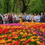 В рамках партпроекта «Старшее поколение» продолжаются экскурсионные прогулки по Воронежу для пожилых людей