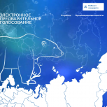 Почти 100 тысяч избирателей в регионе зарегистрировались на предварительное голосование «Единой России»
