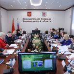 Парламентарии Северо-Запада поддержали инициативу Карелии о расширении федеральной помощи на «малые» КОСы