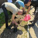 Владимир Мазуров вместе с агроклассом Перемышльского округа провели акцию «Сад Памяти»