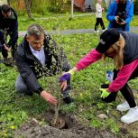 В Аше прошла экологическая акция «Майская яблоня»
