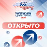 Стартовало электронное предварительное голосование Единой России