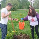 Активные общественники округа Варавино-Фактория в Архангельске стали участниками акции «Сад Памяти»