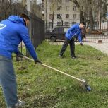 Активисты «Единая Россия», Молодой Гвардии» и воронежские студенты провели субботники в рамках партпроекта «Городская среда»
