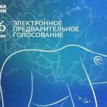 Ветераны СВО - о предварительном голосовании в Иркутской области
