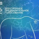 Педагоги, врачи, сотрудники библиотек: в предварительном голосовании «Единой России» в Иркутской области уже приняли участие 69 тысяч жителей