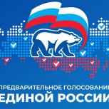 «Единая Россия» делает ставку на реальную помощь кандидатов предварительного голосования