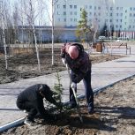 Добрые дела: «Единая Россия» продолжает помогать людям и развивать территории