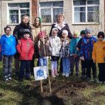 В кузбасском селе единороссы помогли посадить яблоню