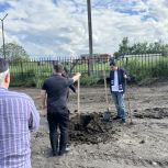 В Малгобеке в рамках акции «Добрые дела» высадили деревья на переулке Осканова