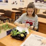 Агроклассы, гранты, туризм: успехи Кировской области