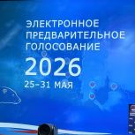 «Единая Россия» в Пензенской области провела предварительное голосование