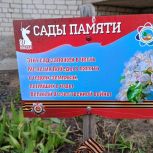 Сады Памяти – живая связь поколений