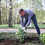 В Рязани, Рязанском и Милославском округах прошла Международная патриотическая акция «Сад памяти»