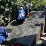 «Единая Россия» провела по всей стране экологические акции в честь Дня Победы