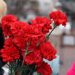 В Магадане дошкольники и ветераны объединились в патриотическом флешмобе «Катюша»