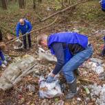 Лосино-Петровские единороссы ликвидировали несанкционированную свалку в лесу