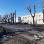 Троицк: Дорога для садоводов
