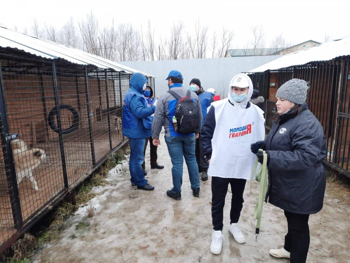 Волонтеры помогли приюту для бездомных животных в Сургуте