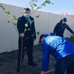 В Кавказском районе  заложили патриотическую аллею