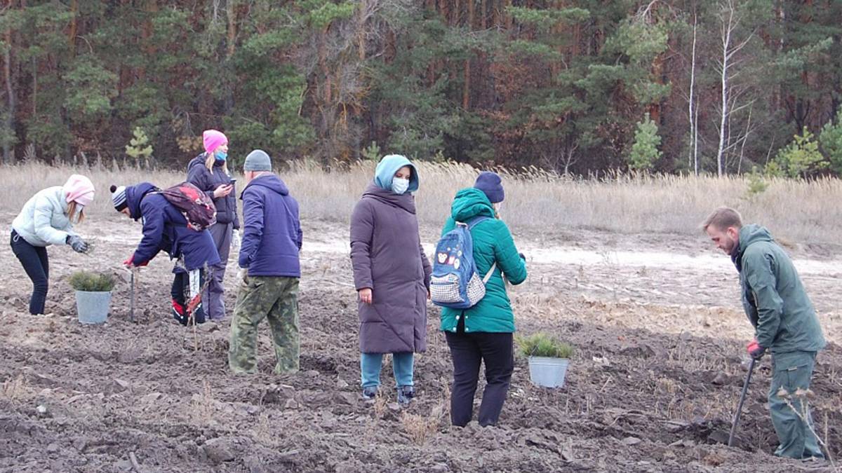 Сердобский район: в селе Куракино на месте бывшей свалки заложен сосновый  бор